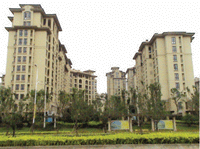  Elastic compound-layer main materials