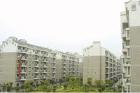 Aqueous finish-coat paint